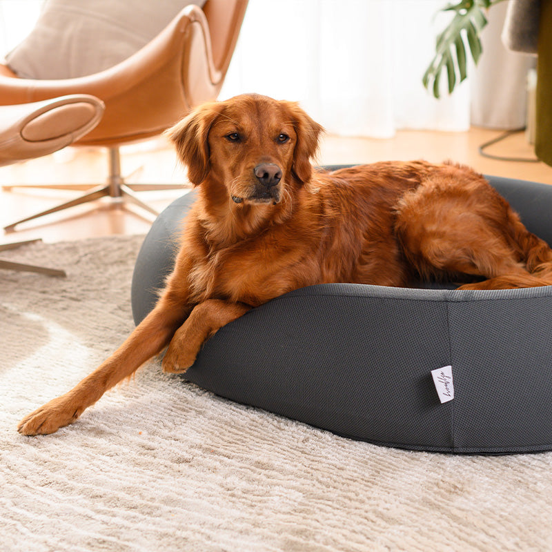 Brooklyn® Nest Dog Bed