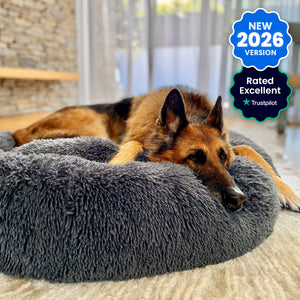 Calming Dog Bed