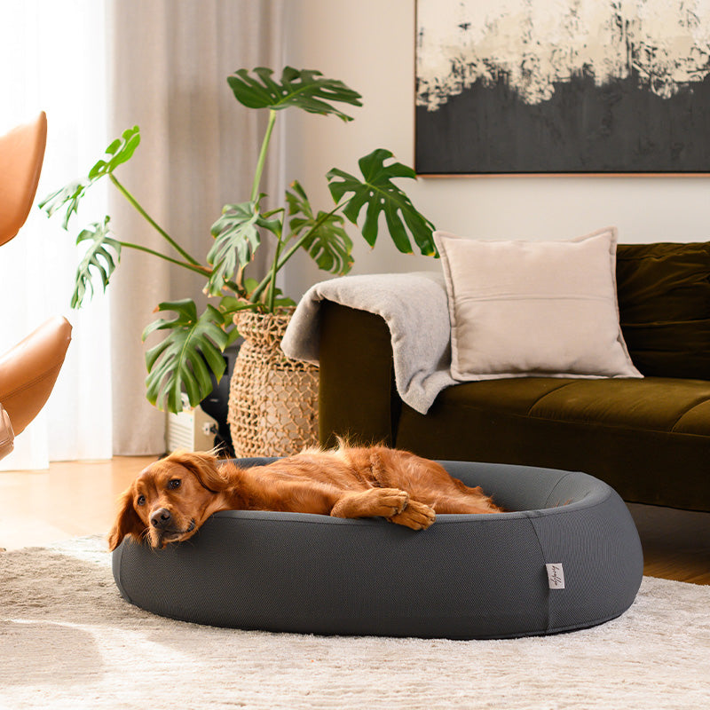 Brooklyn® Nest Dog Bed