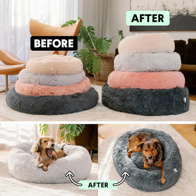 Before and after comparison of a pet bed transformation with dogs using the new design.
