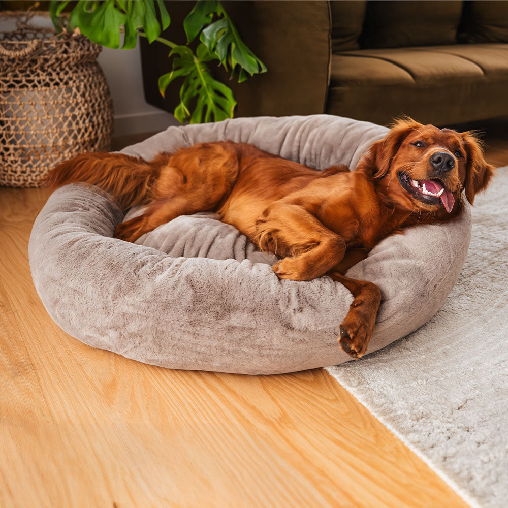Signature Cover for Brooklyn® Deep Sleep