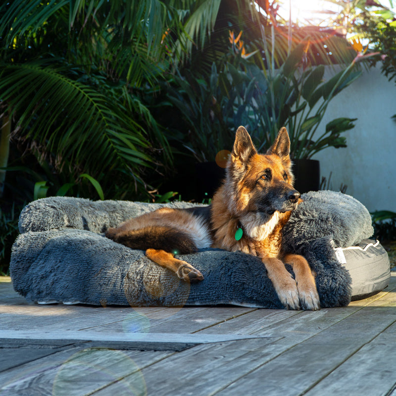 Brooklyn® Chew Resistant Luxe Lounger (2-in-1 Dog Bed)