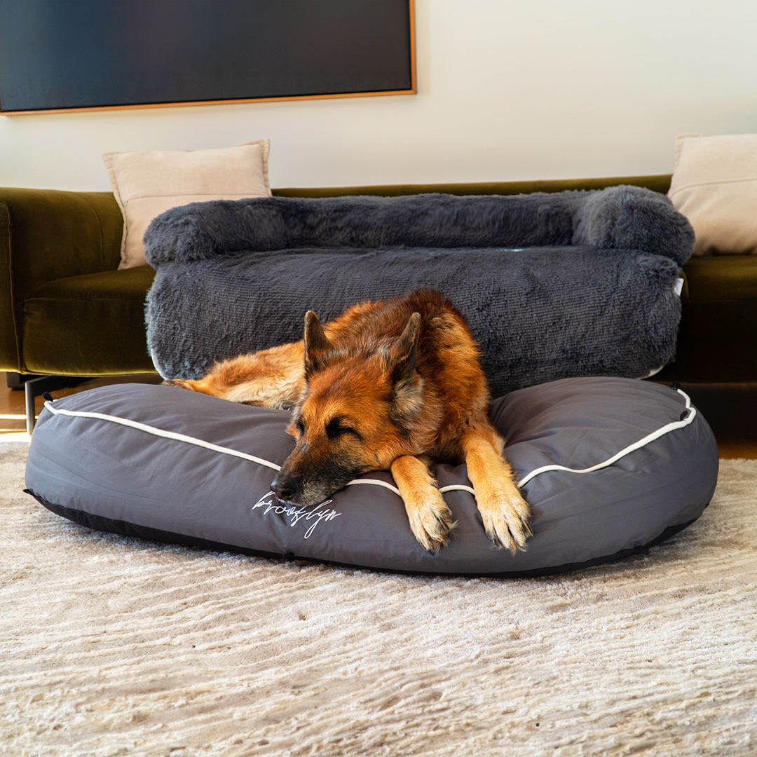 Puppy resting on a durable pet bed