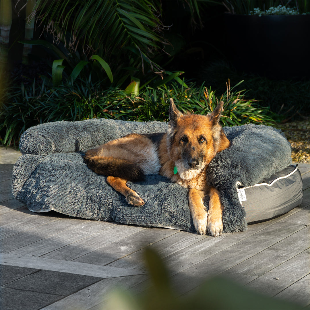 Brooklyn® Chew Resistant Luxe Lounger (2-in-1 Dog Bed)