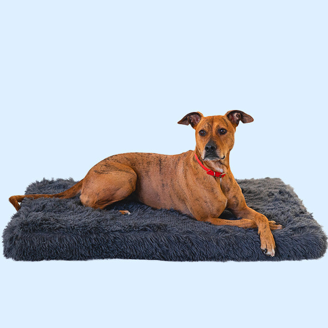 Brooklyn® Memory Foam Bed