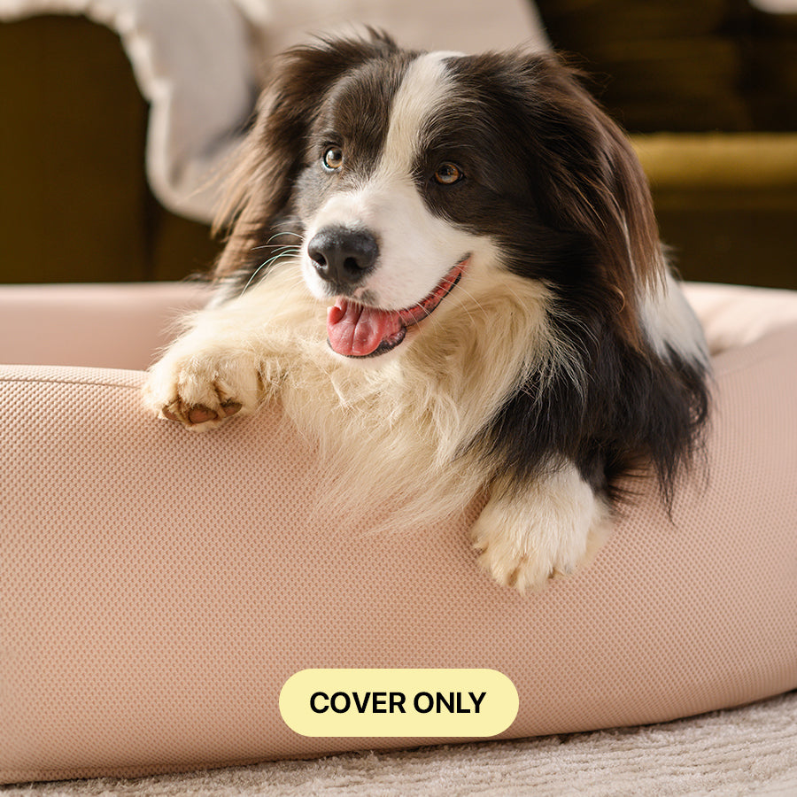 Brooklyn® Nest Spare Covers