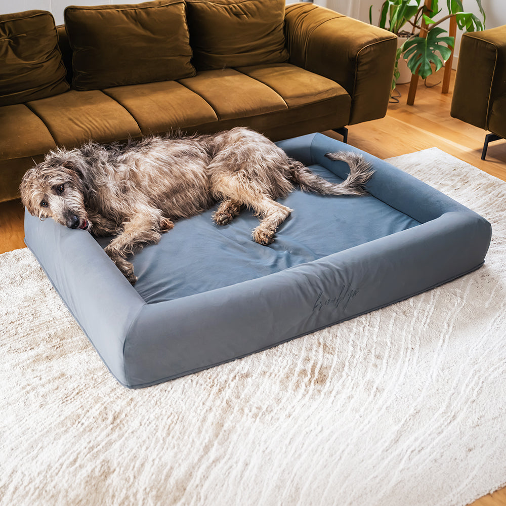 Irish Wolfhound stretched out on the Chalk Grey Ortho Pro dog bed in front of a sofa