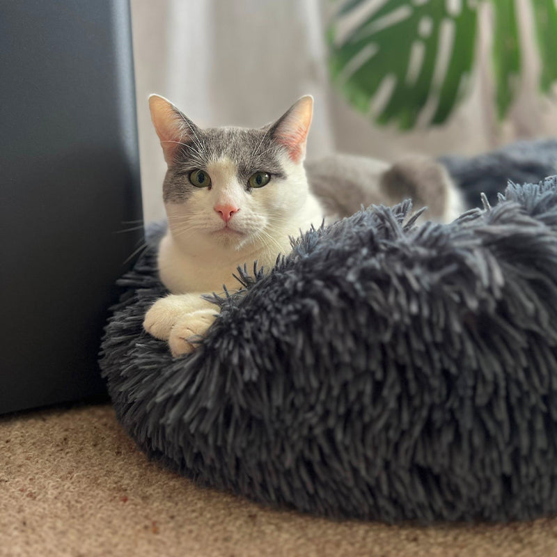 Brooklyn® Deep Sleep Cat Bed