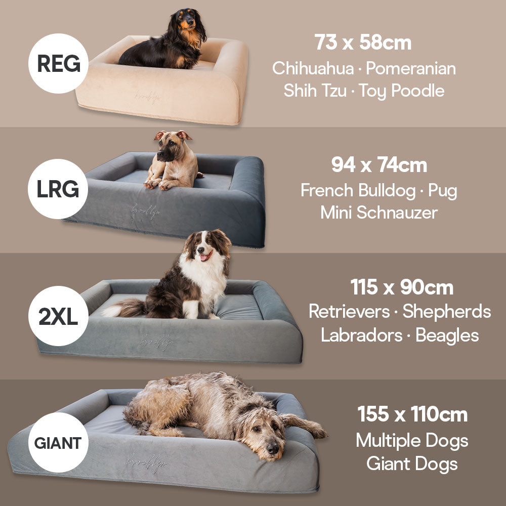 Brooklyn® Ortho Pro Dog Bed (Orthopaedic Memory Foam Dog Bed)