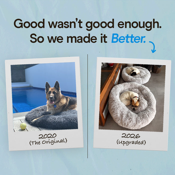 Brooklyn® Deep Sleep Pet Bed