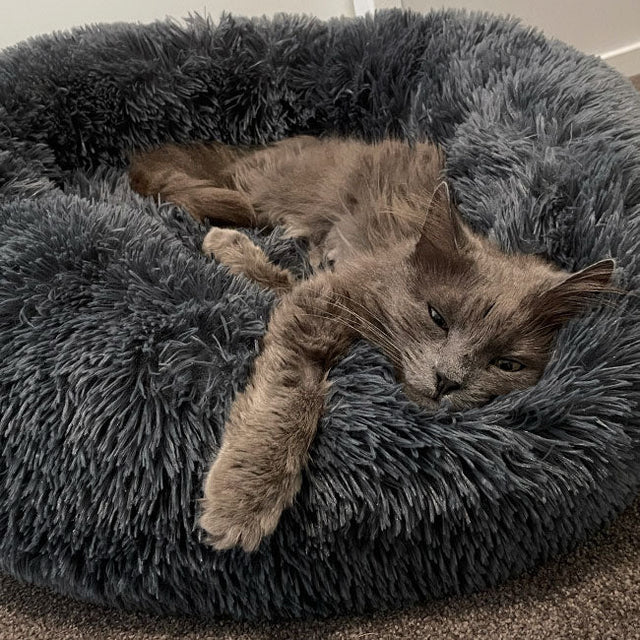 Brooklyn® Deep Sleep Cat Bed Singapore's Favourite Dog Bed