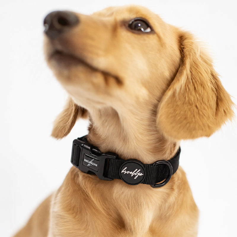 Brooklyn® Walk Set Bundle
