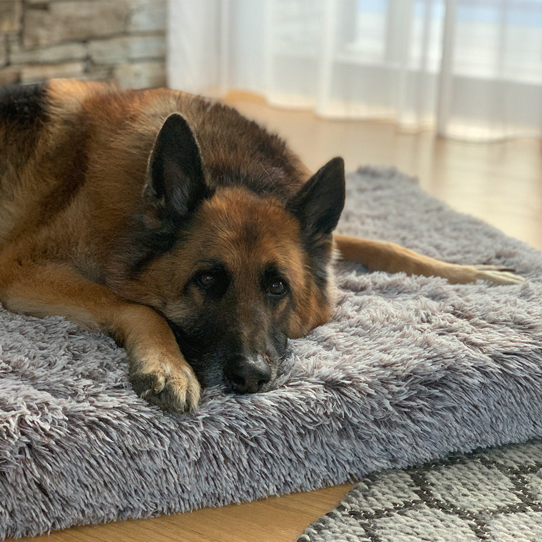 Brooklyn® Memory Foam Bed