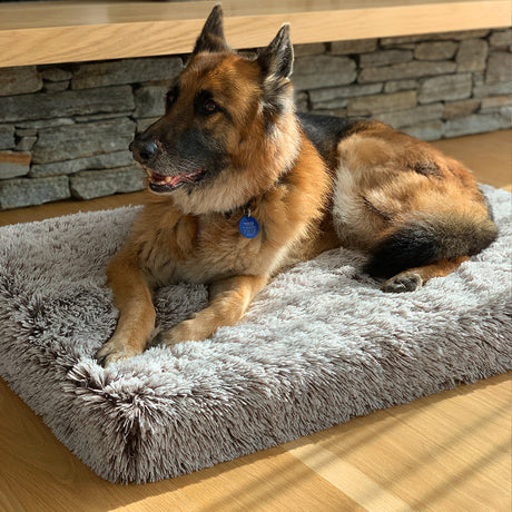 Brooklyn® Memory Foam Bed