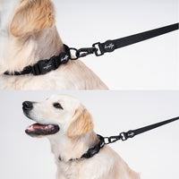 Brooklyn® Featherlight Dog Leash