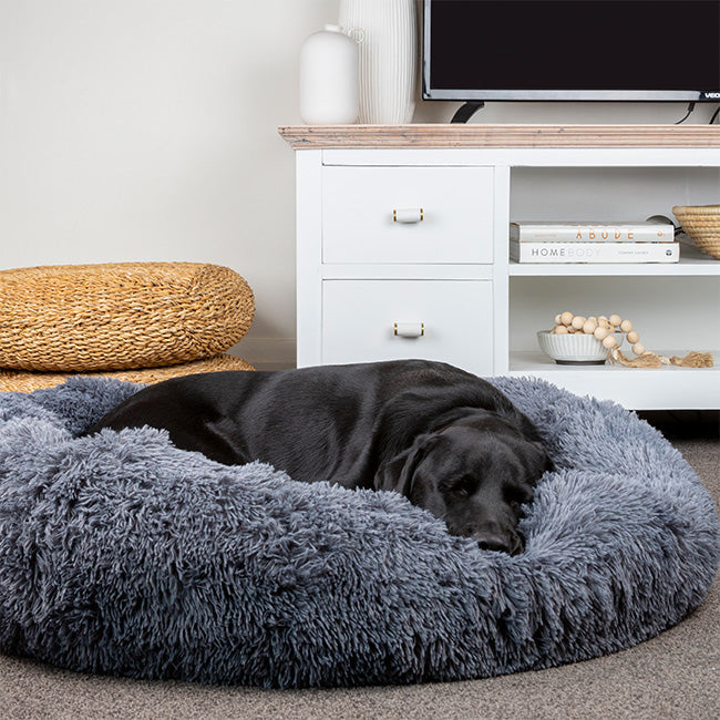 Brooklyn Calming Dog Bed for Restful Sleep The Brooklyn The Brooklyn Pet Store