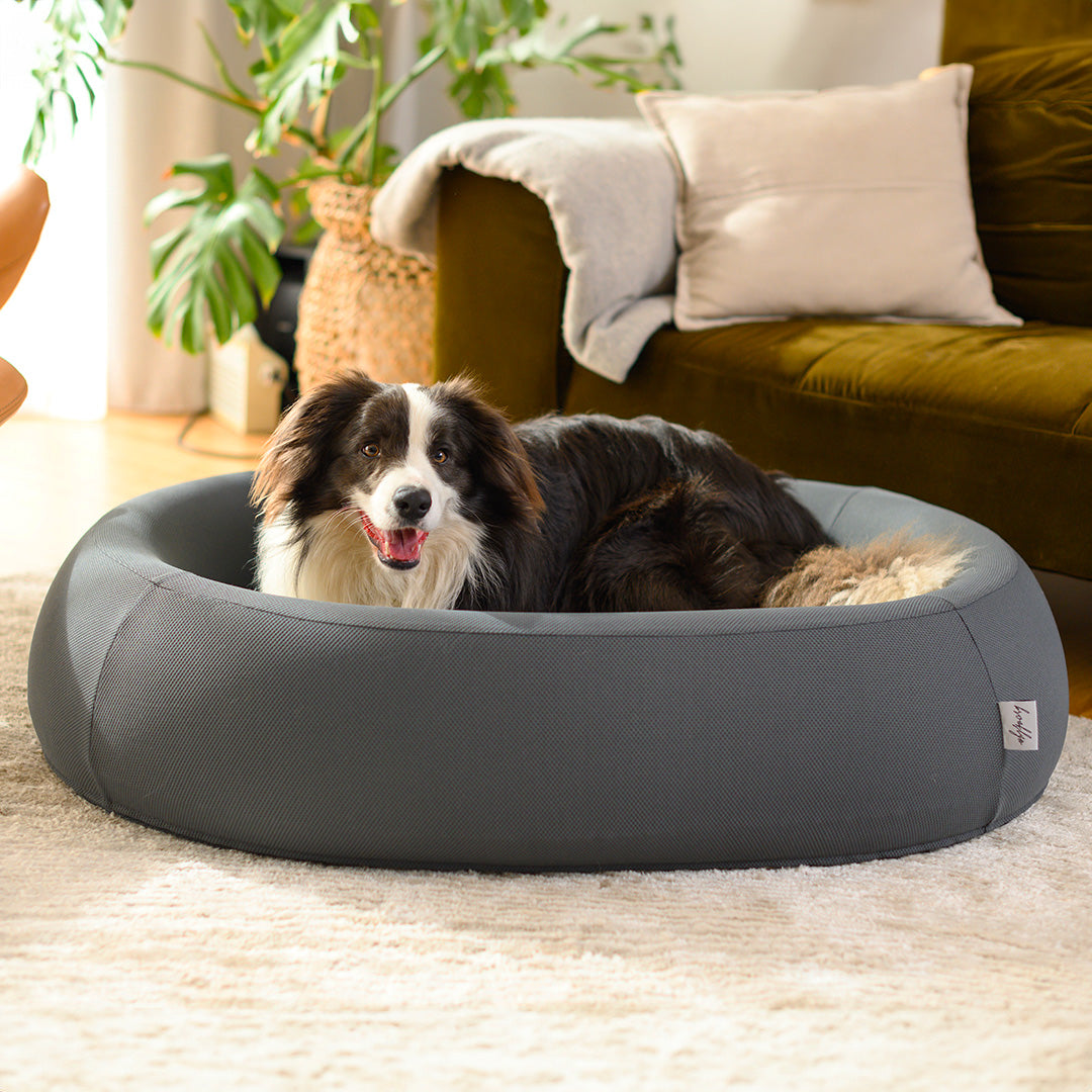 Brooklyn® Nest Dog Bed