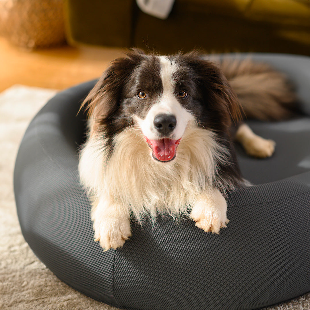 Brooklyn® Nest Dog Bed