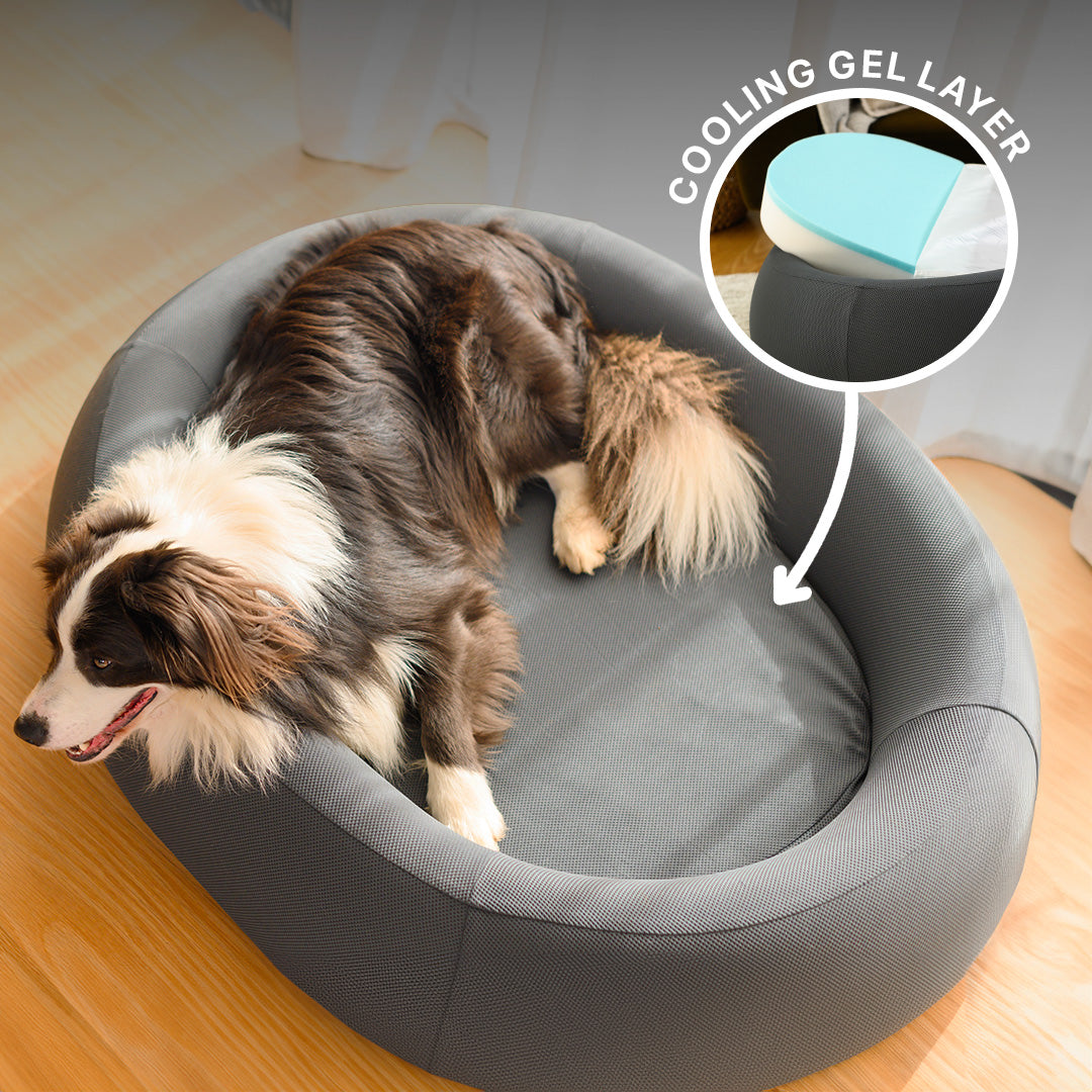 Brooklyn® Nest Dog Bed