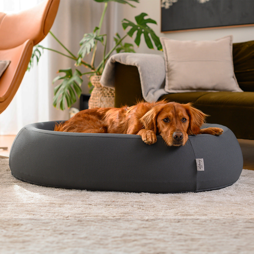 Brooklyn® Nest Dog Bed