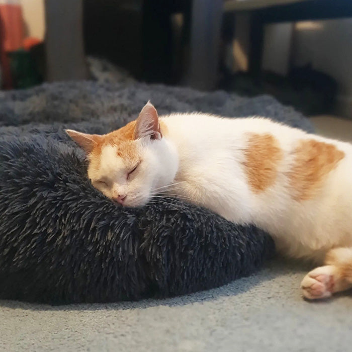 Brooklyn® Deep Sleep Cat Bed