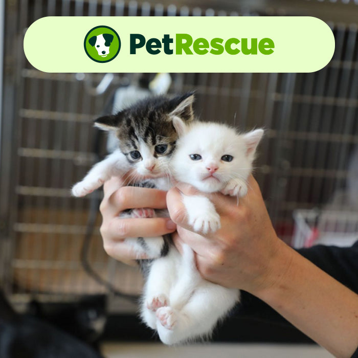PetRescue