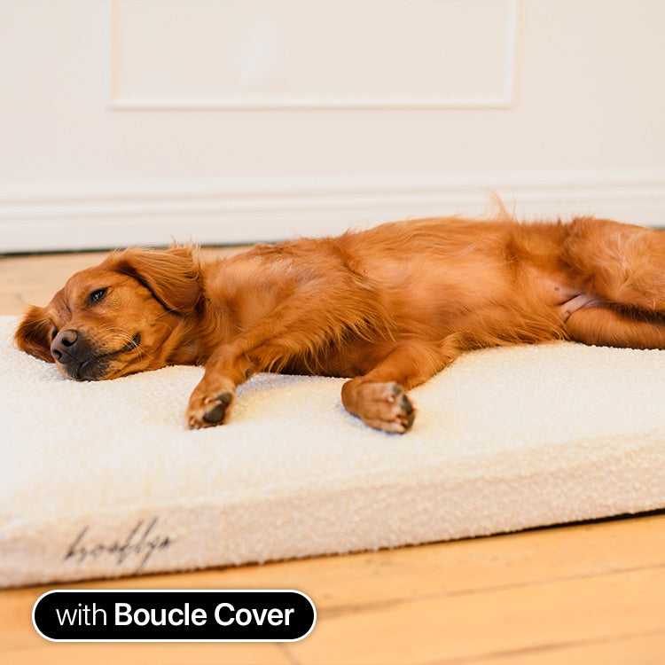 Brooklyn® Ultra Memory Foam Bed