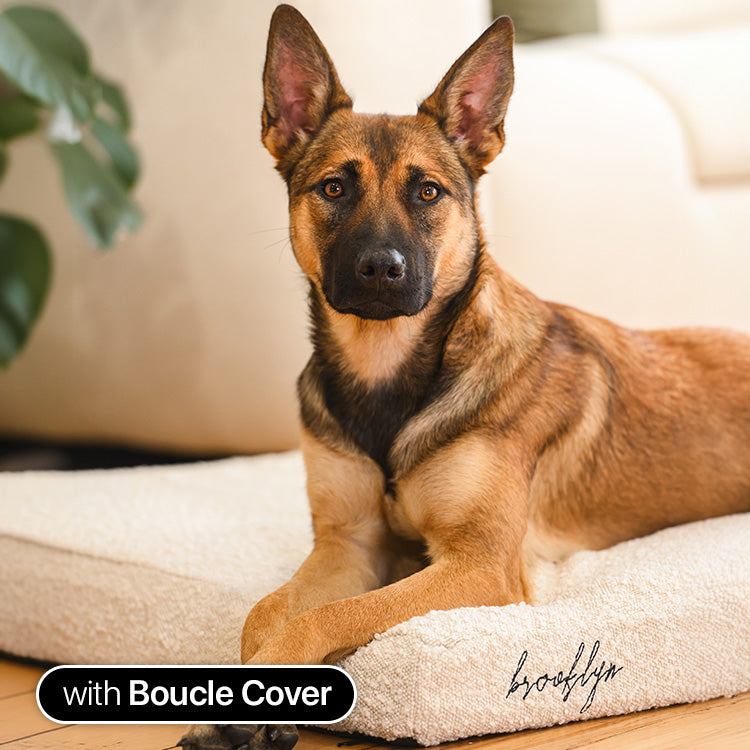 Brooklyn® Ultra Memory Foam Bed