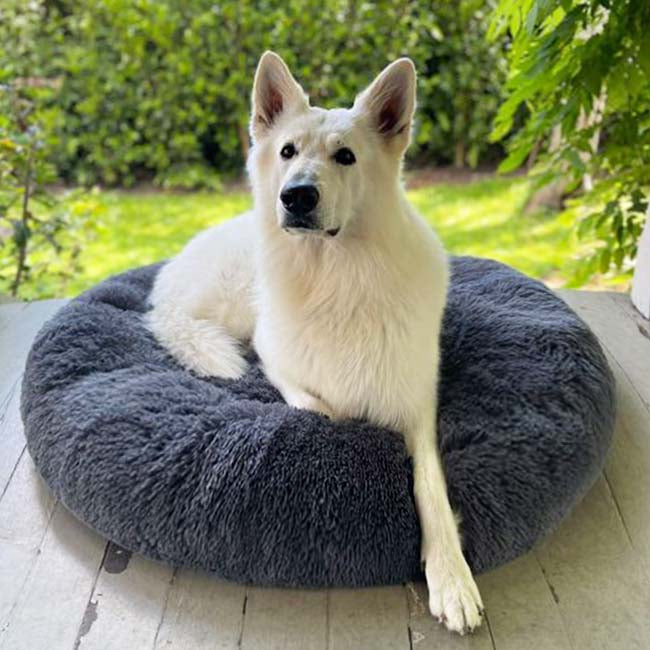 Brooklyn® Deep Sleep Pet Bed